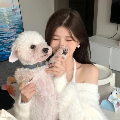 理想的丈夫